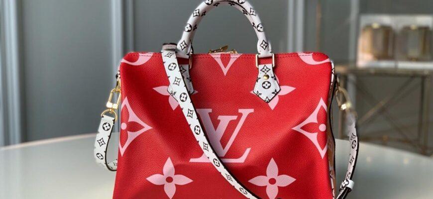 Фото сумки Louis Vuitton
